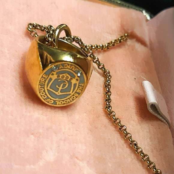 Limited edition JUICY COUTURE 2008 class ring box - Picture 2 of 14